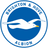 Brighton & Hove Albion FC logo