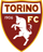 Torino logo