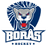 Borås HC
