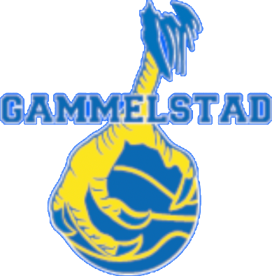 Gammelstads Basket