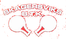 Skagersviks BTK