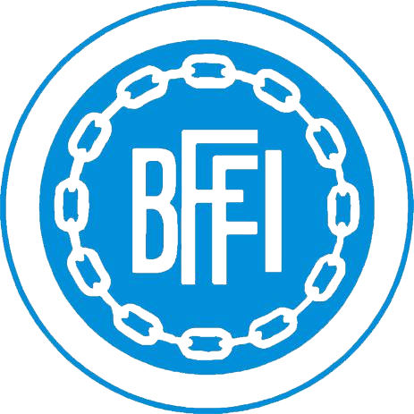 Bolidens FFI/SFF 2