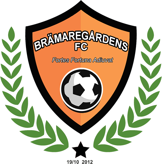 Brämaregårdens FC