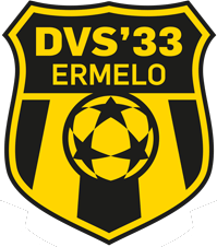DVS 33