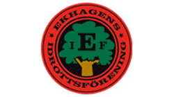 Ekhagens IF (9-m)