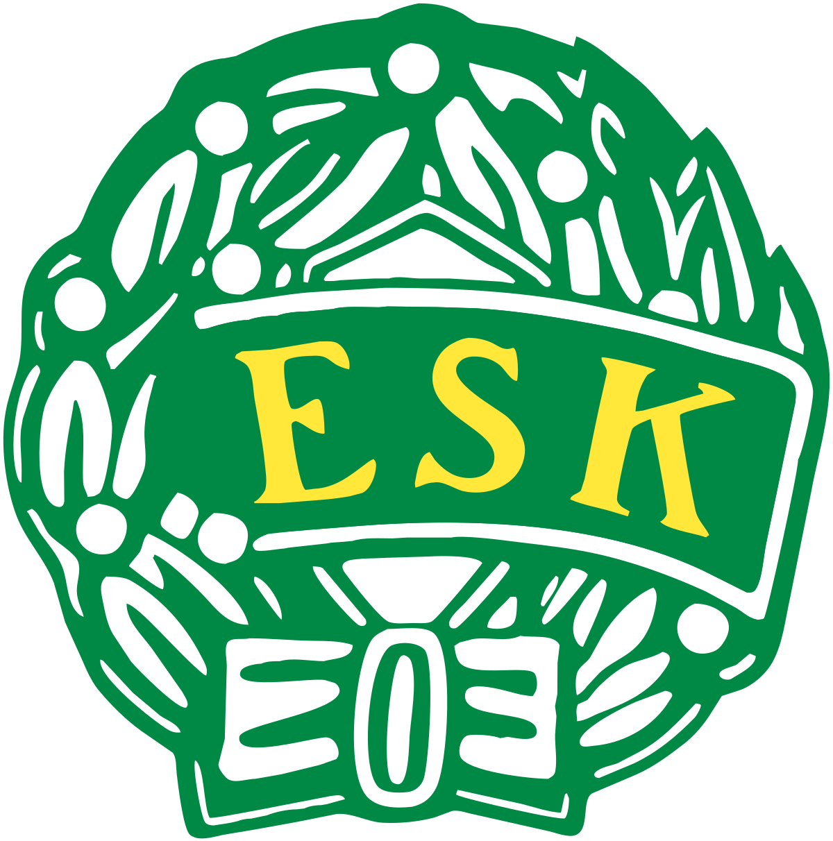 Enköpings SK FK