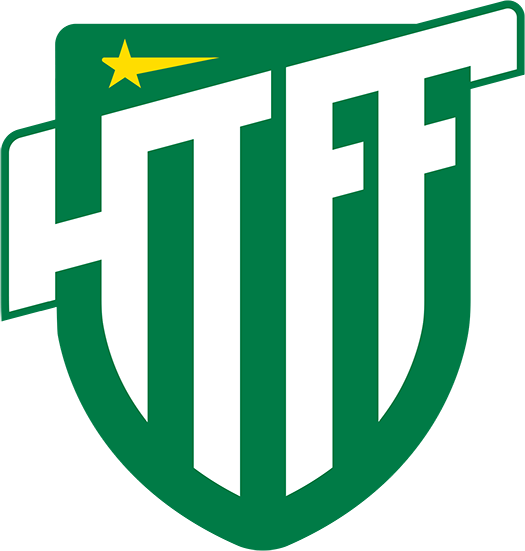 Hammarby TFF Herrfotboll