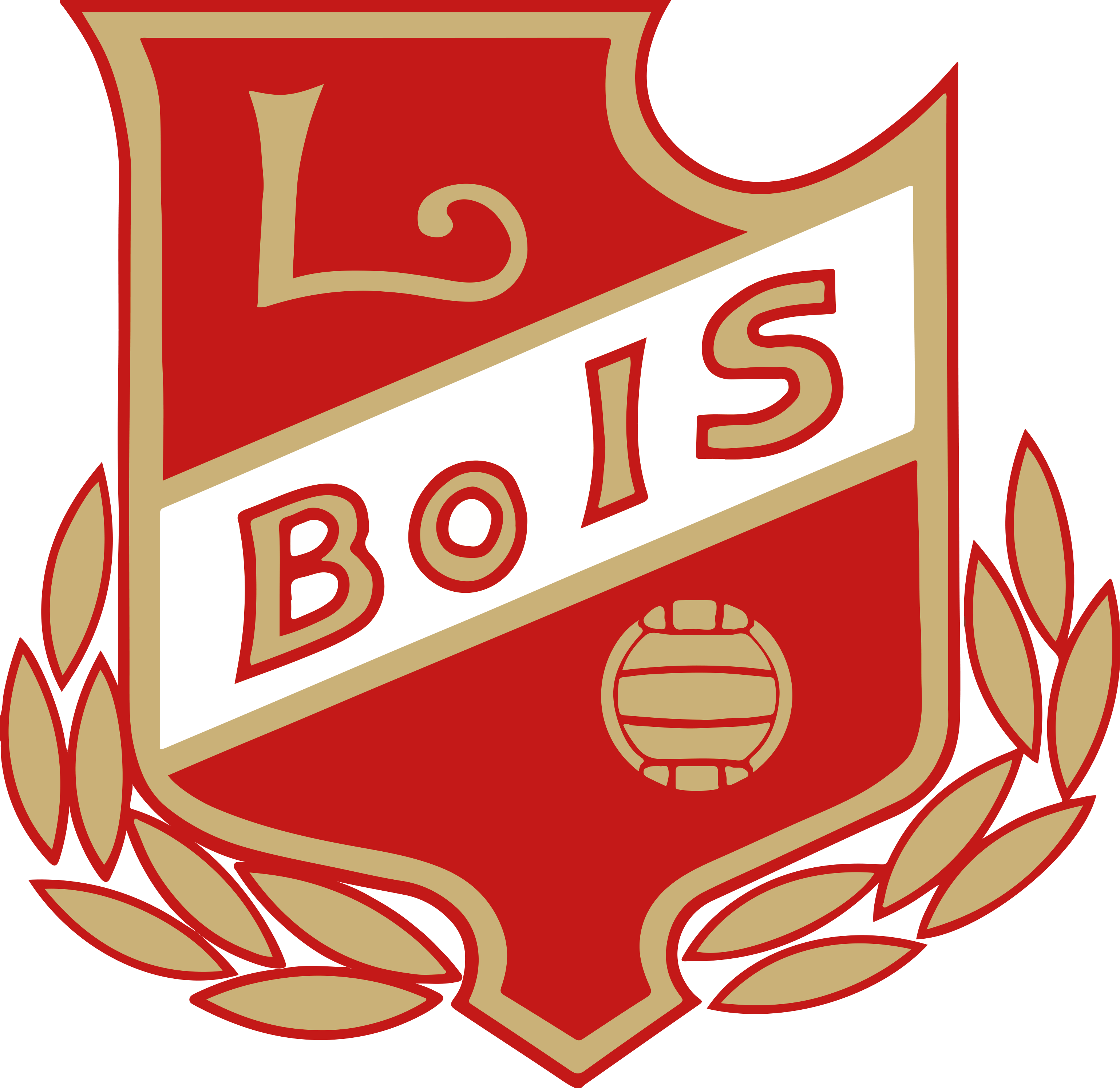 Långareds BoIS