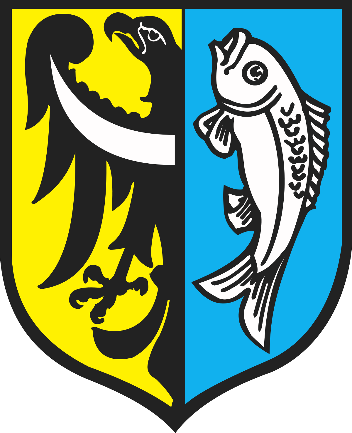 Odra Bytom Odrzanski