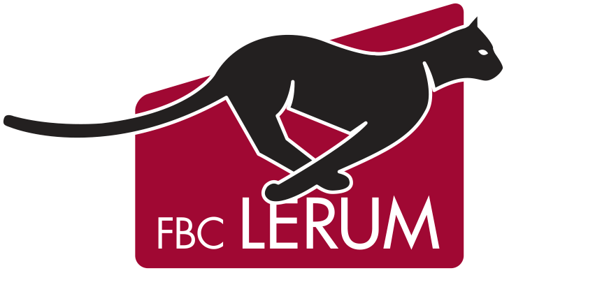 FBC Lerum D2