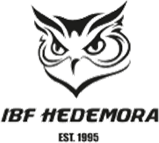 IBK Hedemora Borg