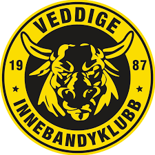 Veddige IBK / Viskadalens IBK