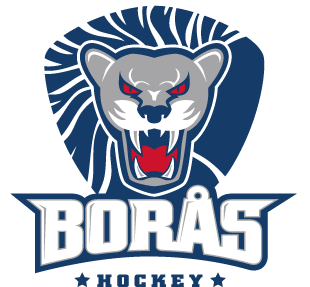 Borås HC