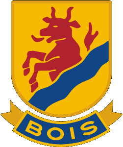 Mariestad BoIS/Töreboda HF