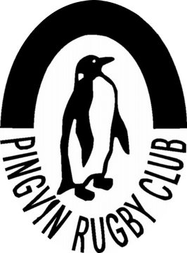 Pingvin RC
